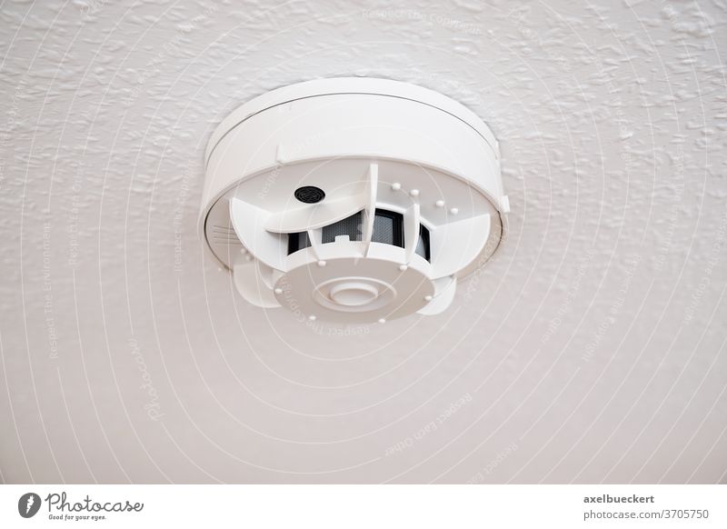 Rauchmelder oder Brandmelder an Zimmerdecke rauchmelder brandmelder Feuermelder Wohnung Alarm rauchmelderpflicht Detektor Sensor Schutz Prävention Sicherheit