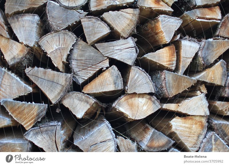 Gestapelte Holzscheite: der Winter kann kommen Kälte Kälteeinbruch Ofen heizen Frost kalt frieren verbrennen wärmen Holz hacken