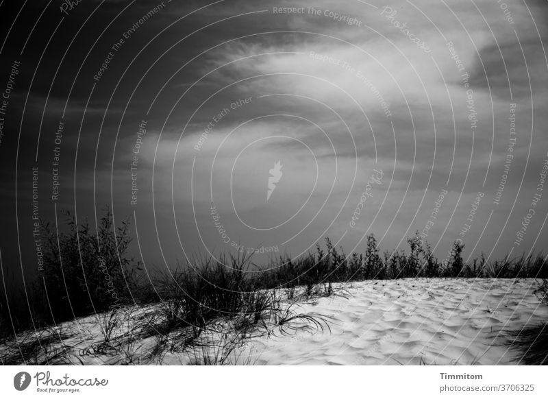 Ein Dünenbild Dünengras Sand Himmel Wolken Licht hell dunkel Natur Strand Ostsee Schwarzweißfoto