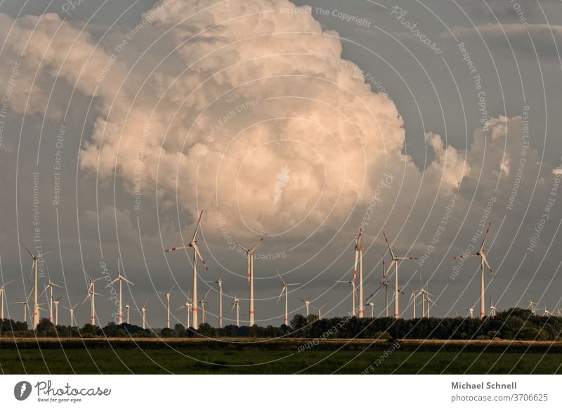 Windpark vor sich auftürmenden Wolken Windkraftanlage Windrad Windradpark windräder Energie Energiewirtschaft kraftvoll Natur ökologie Strom Stromgewinnung