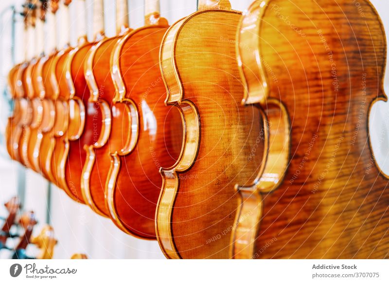 Sammlung moderner Geigen im Shop Werkstatt Laden glänzend Kulisse hängen Wand Instrument hell Reihe Zeitgenosse kreativ Kunst Design Stil Einzelhandel elegant