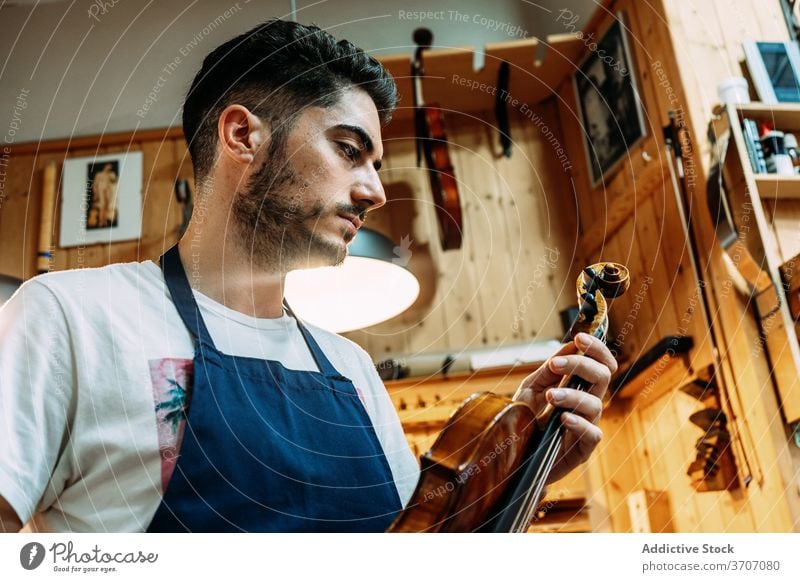 Männlicher Meister in Werkstatt mit Geigen Mann Mechaniker Instrument Musik Kunsthandwerker Hobelbank Schürze männlich glänzend Handwerk Arbeit Gerät modern