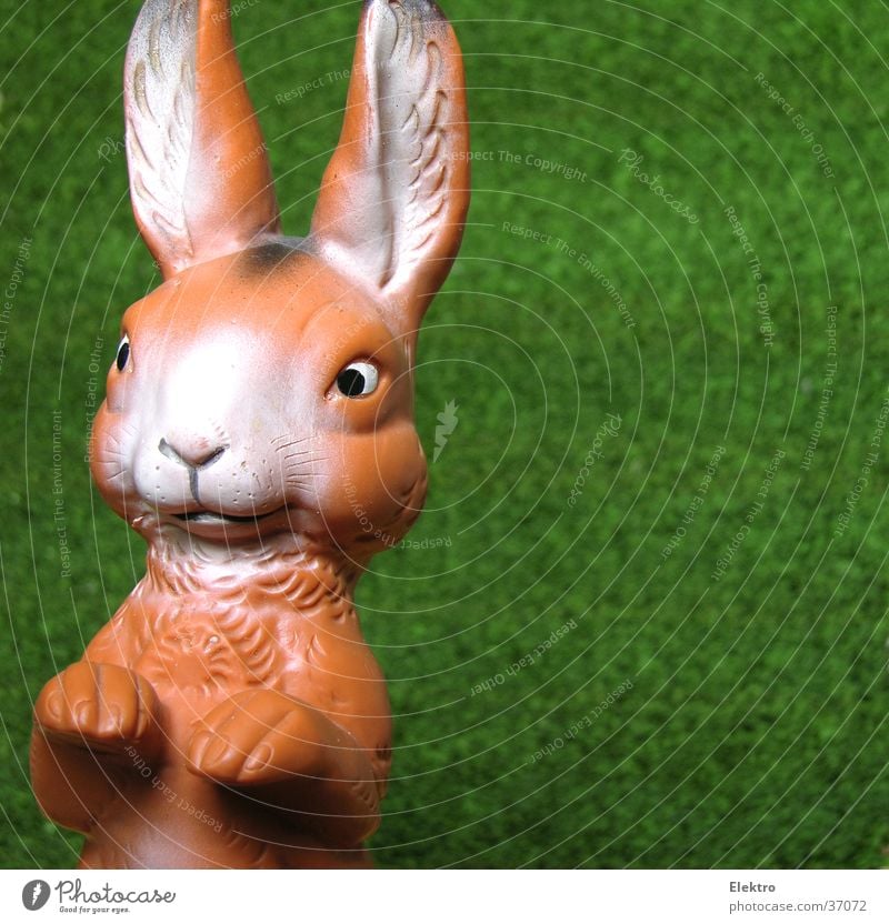 Osterhase Puppe Hase & Kaninchen Ostern Gummi Kunstrasen Angsthase Eigelb Spielzeug Ohr Freude Frühling lange ohren hasenschwanz wie aus dem ei gepellt rammler