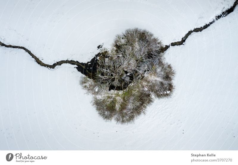 Ein Baum von oben im verschneiten Winter. Bach Dröhnen Landschaft Natur Antenne Hintergrund Ansicht im Freien Top malerisch schön Fluss Umwelt Saison Wasser