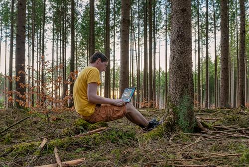 Ein Mann, der mit seinem Laptop in einem Wald an der frischen Luft arbeitet und auf einem Baumstamm sitzt. arbeiten gemütlich Gesundheit Computer Beton grün