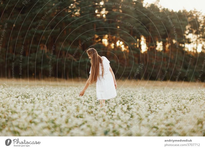 Bildnis eines schönen Mädchens in einem weißen Kleid in einem blühenden Feld. Blühendes Feld. Sommer. Einheit mit der Natur. Frau Model Blume Frühling jung