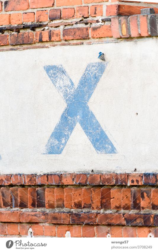 Großes verwittertes  blaues X auf einem weißen Wandstreifen Buchstaben blaue Farbe Römische Zahlen weißer Hintergrund weiße Wand Menschenleer Ziffern & Zahlen