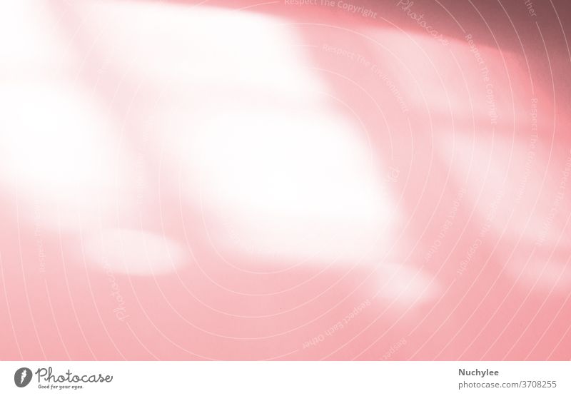 Fenster-Naturschatten-Overlay auf rosa Textur-Hintergrund, zur Überlagerung von Produktpräsentation, Hintergrund und Mockup, abstraktes Naturschattenmuster
