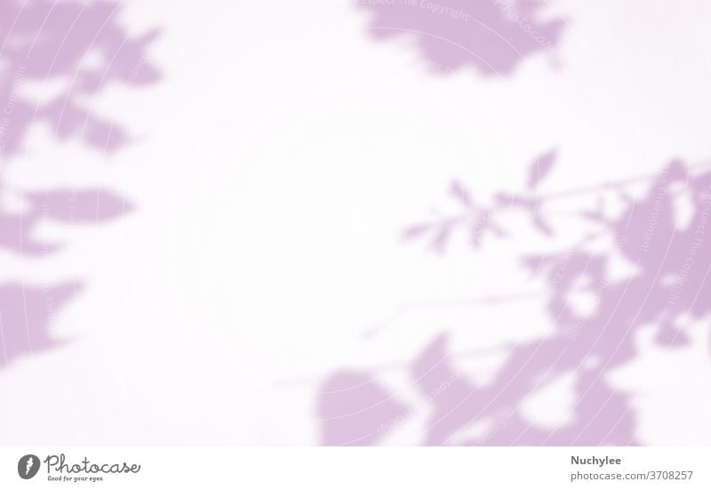 Organic Leaves natürlicher Schattenüberlagerungseffekt auf violettem Textur-Hintergrund, zur Überlagerung von Produktpräsentation, Hintergrund und Mockup, abstraktes Naturschattenmuster