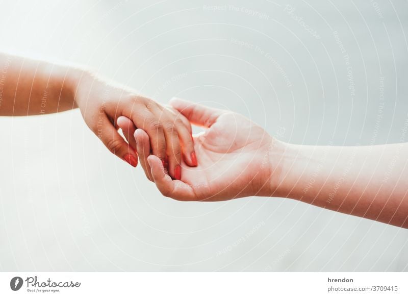 Nahaufnahme von zwei gehaltenen Händen Hand Beteiligung Liebe menschlich Paar Zusammengehörigkeitsgefühl Finger Halt Zusammensein abstützen menschliche Hand