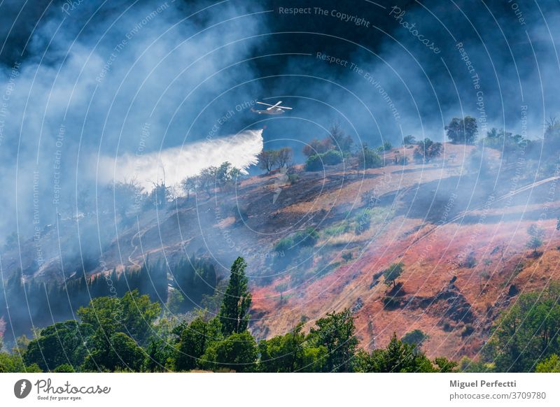 Hubschrauber entlädt Wasser in einen Bergbrand Feuer Brandbekämpfung Rauch löschen Wald Berge u. Gebirge Natur Bäume Landschaft blau Sommer Ansicht Baum