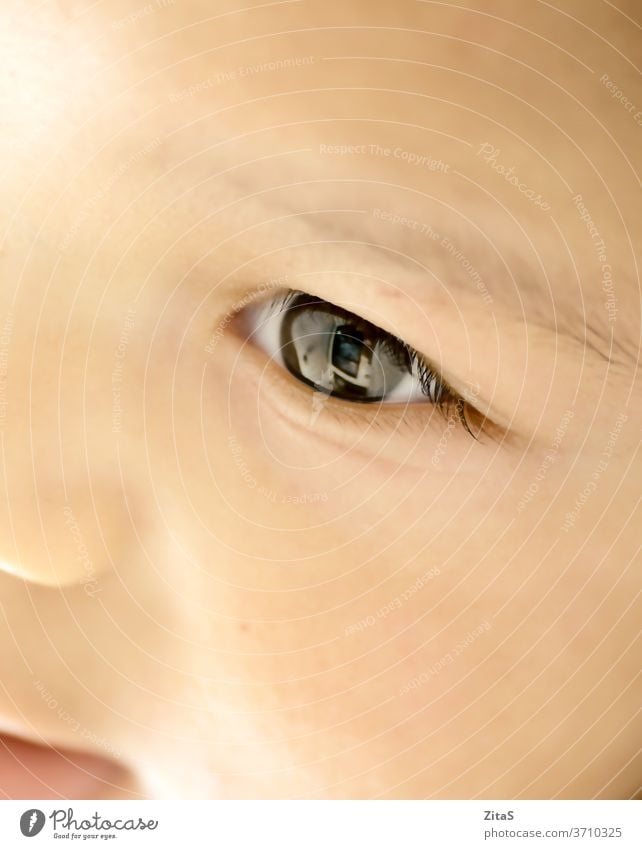 Detail Baby-Auge niedlich gemischt Rennen klein Säugling neugeboren Kind tot boyadorienfähig Ethnizität biografisch Nahaufnahme Gesicht Fokus Detailaufnahme