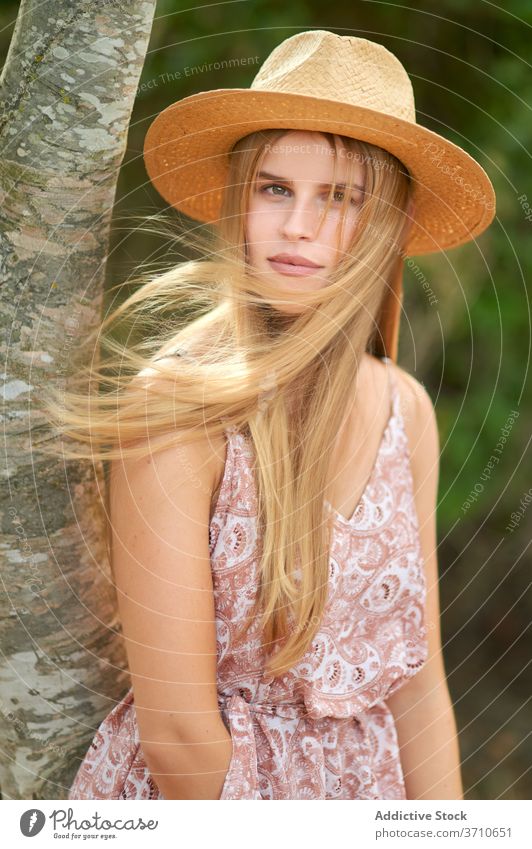 Stilvolle junge Frau steht in der Nähe von Baum Kleid Hut Natur Sommer blond charmant Porträt schön Mode romantisch sinnlich elegant Outfit trendy