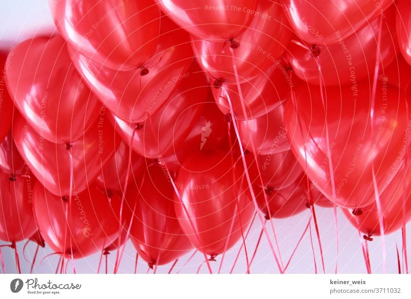 Herzförmige Luftballons in rot mit Helium gefüllt Heliumballons rote Ballons Farbe Farbfoto Freude Glück Feste & Feiern Lebensfreude Freizeit & Hobby Lifestyle