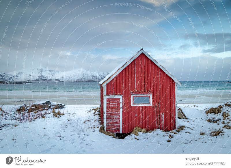 Rote Hütte am Strand auf den Lofoten Scheune Schnee Winter Meer Norwegen Skandinavien Holzhütte Berge u. Gebirge Horizont Ferien & Urlaub & Reisen Küste kalt