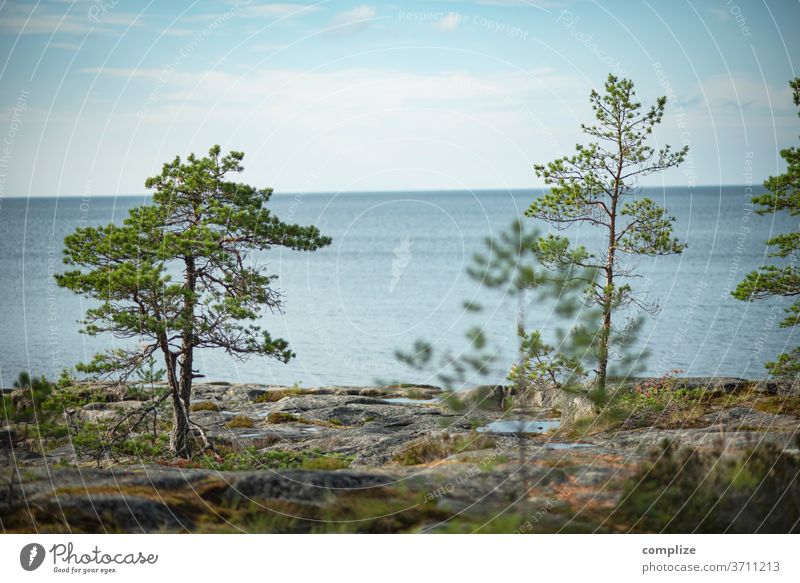Österbotten Finnland Meer Küste Strand Felsenküste felsen Kiefer weite Skandinavien Ostsee ostseeküste Pietarsaari Horizont