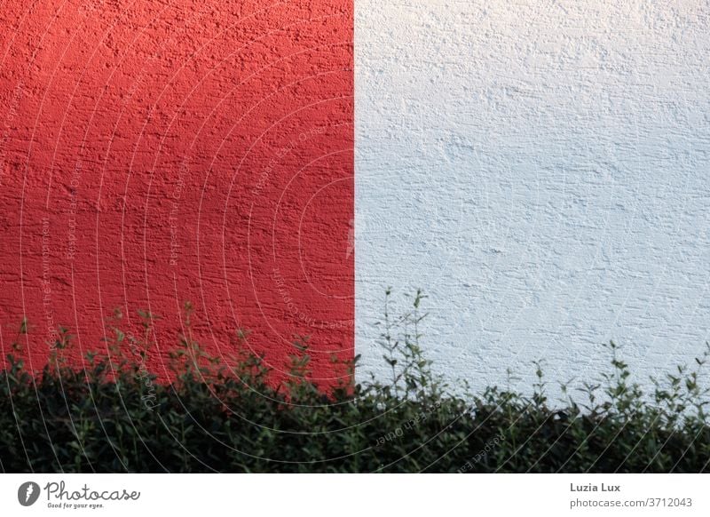 rot und weiß oder Grafik an der Hauswand, davor eine grüne Hecke grafisch grafisches Muster gerade Fassade Linie Wand Strukturen & Formen Mauer Außenaufnahme