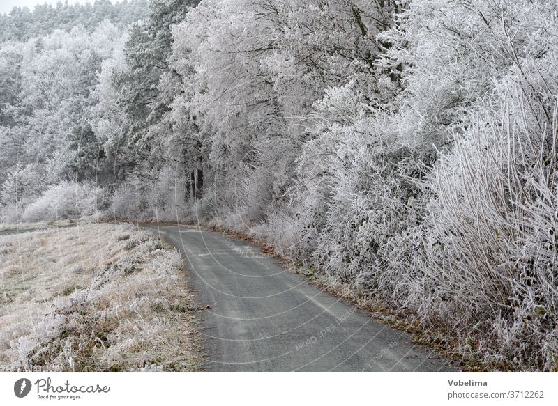 Weg mit Raureif weg schnee raureif Winter wald waldrand landschaft odenwald himmel hessen deutschland natur kalt frost kälte