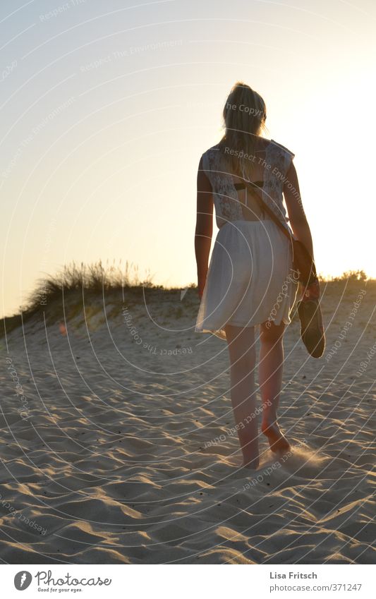 stille feminin Junge Frau Jugendliche 1 Mensch 18-30 Jahre Erwachsene Natur Sand Wolkenloser Himmel Sonnenaufgang Sonnenuntergang Sommer Schönes Wetter Strand