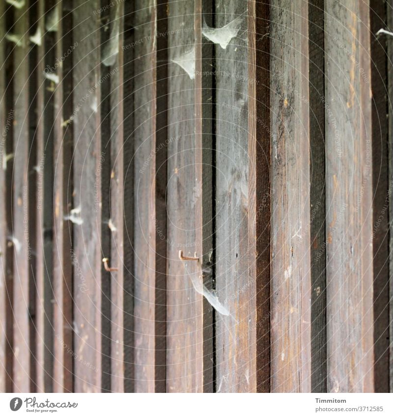 Ein Holzwand ist mit Spinnweben und Metallhaken geschmückt Haken Linien dunkel Schwache Tiefenschärfe Menschenleer Außenaufnahme Bretter Fassade