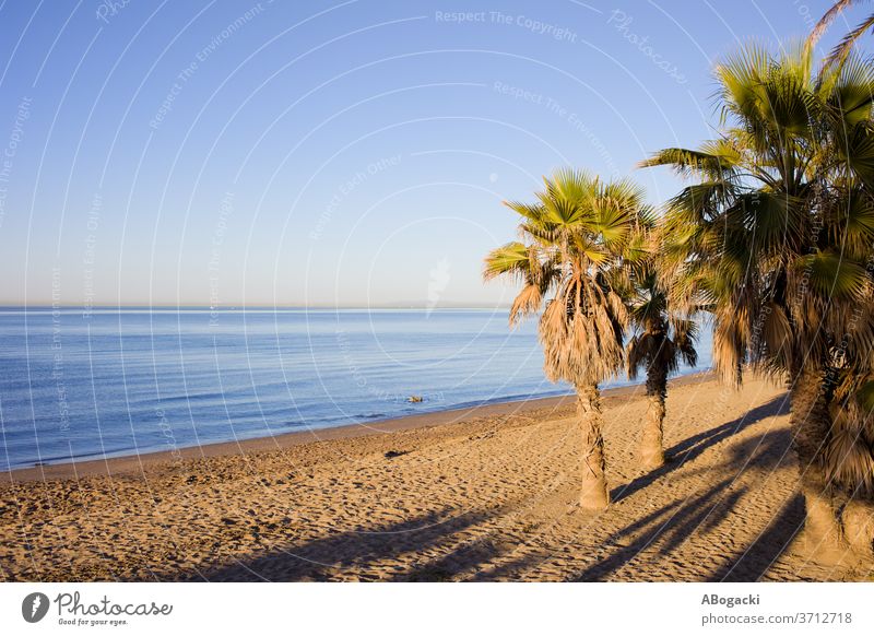 Strand von Marbella an der Costa del Sol in Spanien costa Entf Andalusia Andalusien sandig Küste Küstenlinie Meeresufer MEER mediterran Seeküste Küstenstreifen