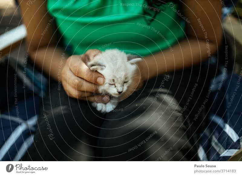 Mädchen hält kleine Katze Hauskatze Haustier Farbfoto Fell Schnurrhaar Katzenauge Pfote Blick Außenaufnahme Tierporträt Säugetier Pflege Tiergesicht Auge