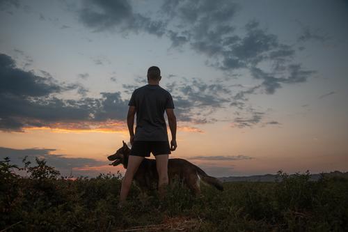 Mann, der mit seinem Hund trainiert Training Menschen Gras männlich Himmel Haustier Glück Spaß Sonnenuntergang im Freien Natur Wiese Männer Sommer Tier