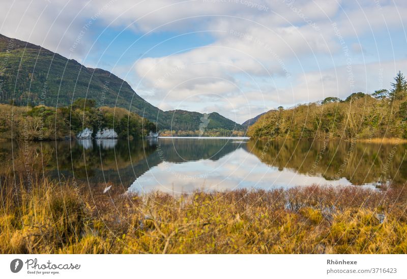 Schottland irgendwo an einem Loch.. Landschaft Natur Außenaufnahme Farbfoto Menschenleer Tag Berge u. Gebirge Großbritannien Einsamkeit Ferien & Urlaub & Reisen