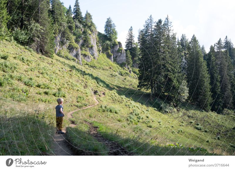 Kind beim Wandern wandern Junge Berge u. Gebirge Allgäu Alpen Natur Landschaft Farbfoto Außenaufnahme Ferien & Urlaub & Reisen Bergsteigen Felsen Sommer