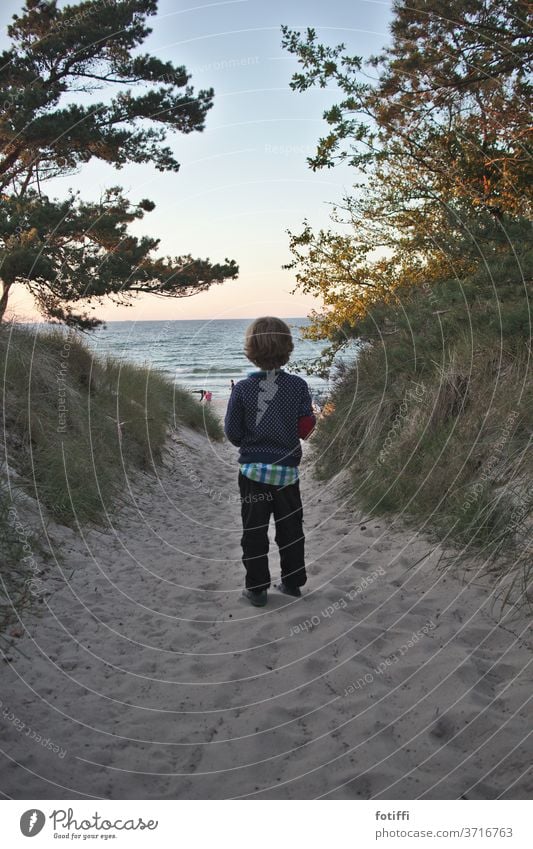 Junge am Eingang zum Sandstrand Rügen Meer Wasser Urlaub Urlaubsfoto Urlaubsstimmung Meerblick Kind verträumt sanft Ferien & Urlaub & Reisen Tourismus Küste