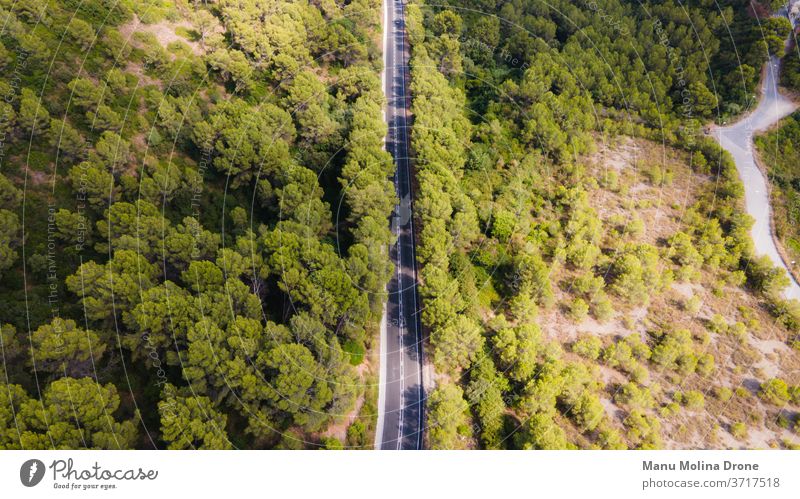 Straße durch einen Wald in Barcelona Kiefern Höhe Dröhnen Panoramablick Asphalt Symmetrie bonita Spanien