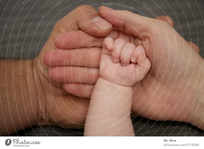 Kleine Familie Hände Hand Vater Mutter Baby Eltern Kind Liebe Familie & Verwandtschaft neugeboren Glück Papa Mama Halt Säugling klein Zuneigung Leben festhalten