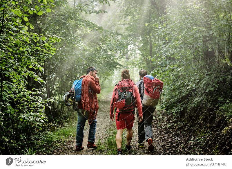 Gruppe von Wanderern mit Rucksäcken im Wald Reisender Bergsteiger Männer Spaziergang Aufsteiger Gerät Abenteuer Trekking Zusammensein Weg Unternehmen Aktivität