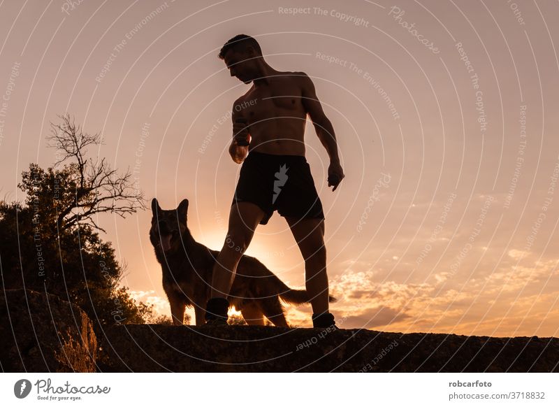 Mann, der mit seinem Hund trainiert Training Menschen Gras männlich Himmel Haustier Glück Spaß Sonnenuntergang im Freien Natur Wiese Männer Sommer Tier