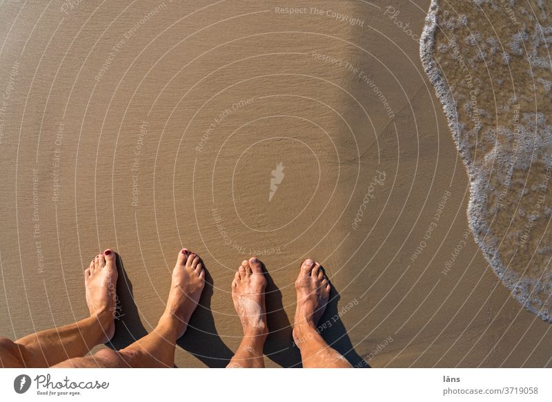 barfuß am Strand Füße Barfuß Sommer Ferien & Urlaub & Reisen Erholung Sand Küste Meer Wasser Mensch stehen Paar
