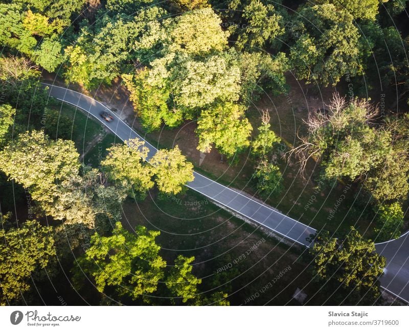 Luftaufnahme der Bergstraße im Spätsommer oben Antenne aufforsten Asphalt Hintergrund schön Botanik Ast PKW farbenfroh Land Landschaft Entwaldung Erde Öko