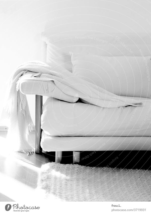 Fotogenes Gegenlicht! – darin waren sich das weiße Sofa mit seiner hellen Wolldecke und dem gestrickten Teppich einig Wohnung Häusliches Leben Raum Ambiente