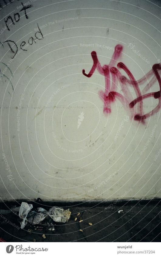 not Dead Wand Schmiererei Müll Text dunkel Dinge Grafiti dreckig Tod