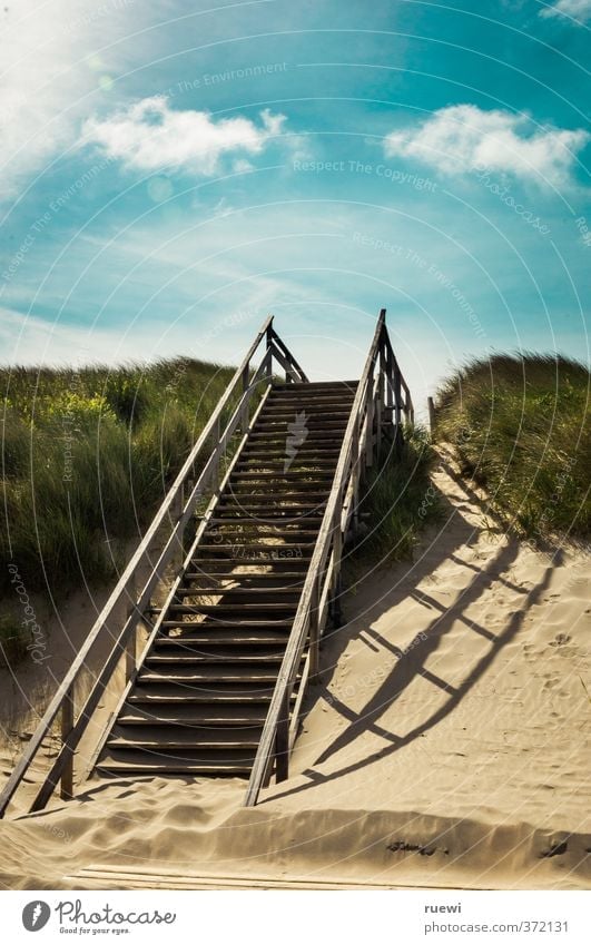 Stairway to... Wohlgefühl Erholung Ferien & Urlaub & Reisen Tourismus Ausflug Ferne Freiheit Sommer Sommerurlaub Strand Meer Treppe Umwelt Landschaft Luft