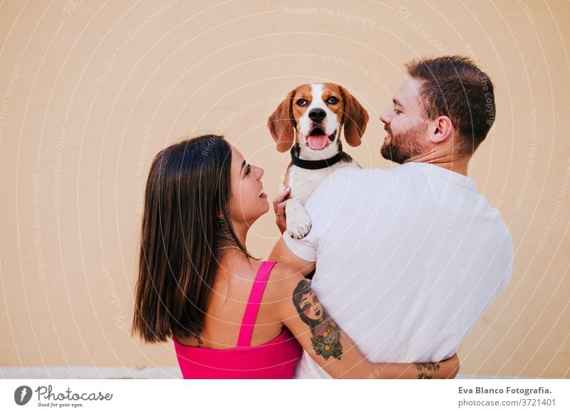 glückliches junges Paar im Freien, das seinen Beagle-Hund küsst. Familien- und Lebensstilkonzept. gelber Hintergrund Erwachsener Abenteuer Zuneigung schön