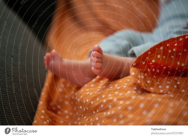 Füße von Neugeborenem Baby, das auf dem Schoß der Mutter liegt Fuß Babyfuß Zehen neugeborenes Baby säugling Säuglingsalter säuglingsfuß Kleid gepunktet orange