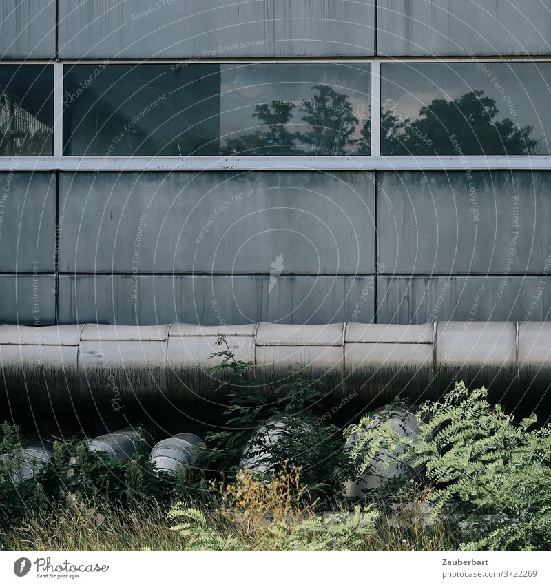 Fenster, Rohre und Fassade eines Kraftwerks im Gebüsch Industrie Fabrik Industrieanlage Gebäude Technik Leitung grau hässlich