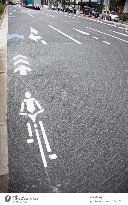 Japanischer Fahrradweg Asphalt Fahrradfahren Verkehrswege Wege & Pfade Straße Straßenverkehr Verkehrsmittel Mobilität Fahrradtour Außenaufnahme umweltfreundlich
