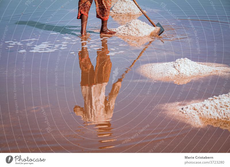 Filmaufnahme eines Salzfeldarbeiters bei der Salzgewinnung in der Provinz Kampot in Kambodscha, die die lokale Kultur, den Lebensunterhalt und das wirkliche Leben der Khmer zeigt