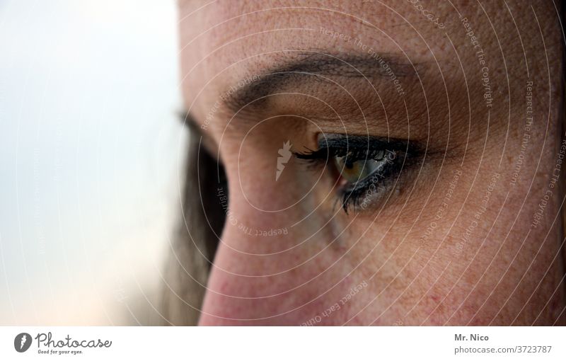 auge Auge Haut Blick Augenbraue Wimpern Gesicht Pupille Detailaufnahme Frau Sehvermögen Augenfarbe Sinnesorgane schön Nase nasenrücken feminin beobachten