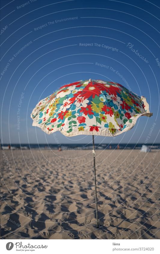 Sonnenschirm am Strand Schirm Ferien & Urlaub & Reisen Sommerurlaub Meer Tourismus Erholung Menschenleer Schönes Wetter Küste Ostsee sonnenschutz Sand bunt