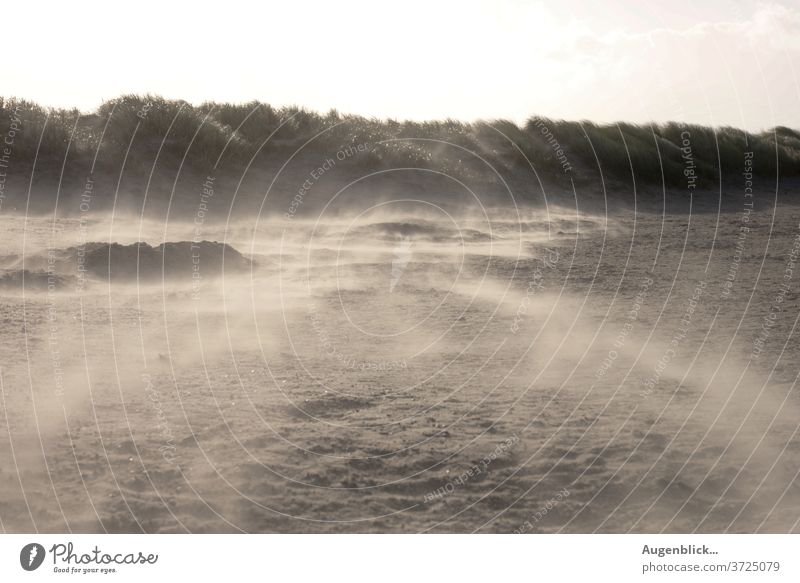 Sandsturm am Nordseestrand... Strand Wind Meer Wolken Sturm Ferien & Urlaub & Reisen Landschaft Natur Küste Winter Wetter Insel