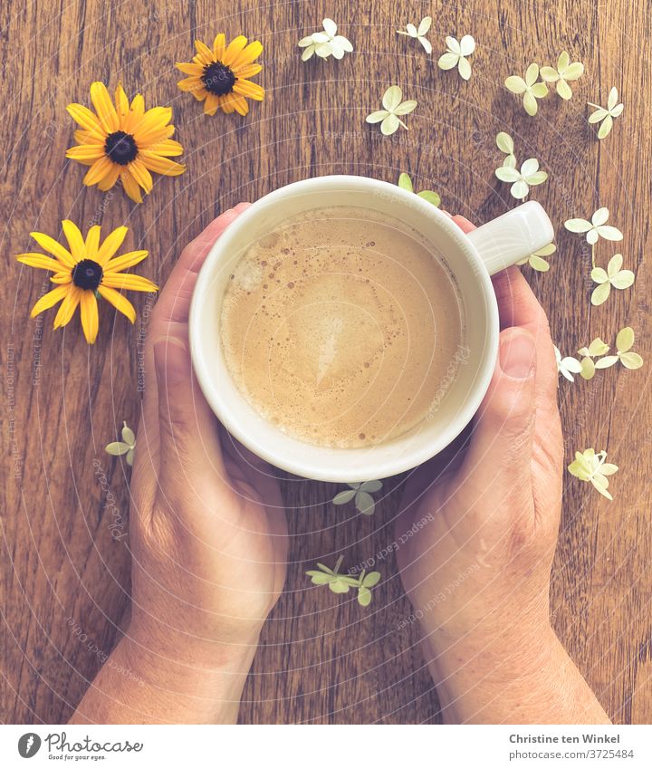 Vorfreude | auf eine Tasse Cappuccino die auf einem Holztisch steht und von den Händen einer Frau gehalten wird. Weiße und gelbe Blütenköpfe dekorieren den Tisch.