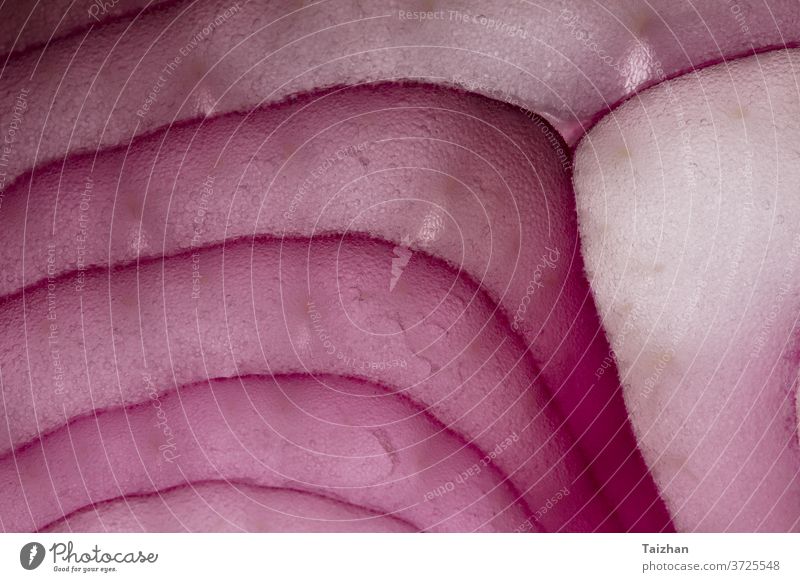Rote Zwiebel in Nahaufnahme als Hintergrundtextur purpur Gemüse abstrakt Frische kreisen Muster Lebensmittel Australien Hälfte horizontal keine Menschen