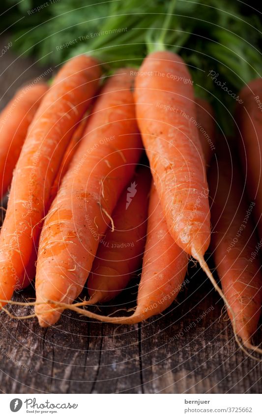 Haufen Karotten auf einer Holzplanke Bett Erde Pflanze schmutzig Feld Bauernhof Anbau Lebensmittel Gemüse Wurzel wachsen Natur natur boden niemand gesund orange